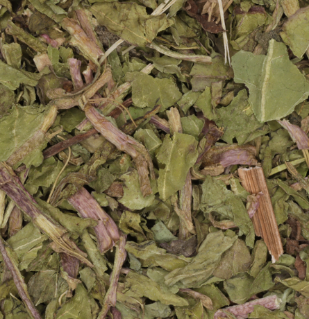 Paardenbloemblad thee